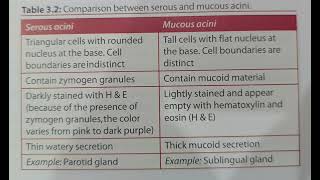 Histology serous and mucous acini [upl. by Aelyak]