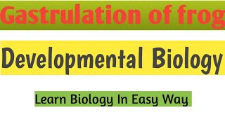 Gastrulation of frog  Developmental Biology zoology biology [upl. by Darej]