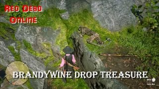 Red Dead Online Brandywine Drop Treasure Hunt [upl. by Yspyg]