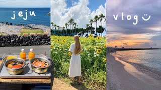 jeju island vlog 🌴 seafood ramen sunflower fields beach cafes souvenir shops beautiful sunsets [upl. by Sirraj]