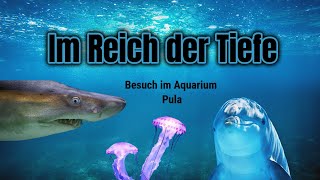 1000Km mit dem Auto nach Kroatien Im Reich der Tiefe  Besuch im Aquarium Pula  Kroatien Teil 4 [upl. by Delcine]