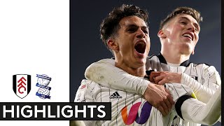 Fulham 62 Birmingham City  EFL Championship Highlights  Fulham Score Six Once Again [upl. by Anaed745]