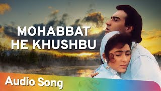 Mohabbat He Khushbu  Jigar 1992  Ajay Devgan  Karishma Kapoor  Mohammad Aziz Collection [upl. by Gibbons]