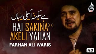 Farhan Ali Waris  Hai Sakina Akeli Yahan  Noha  2013 [upl. by Eloc]