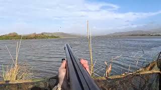 Storm Flight on Wigeon  Kayak was needed  Wildfowling [upl. by Desmund]