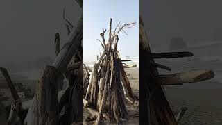 Driftwood in Bandon Oregon [upl. by Farver629]