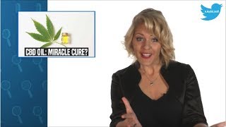 CBD Oil Miracle cure or snake oil [upl. by Adyeren911]