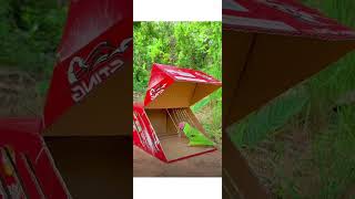 DIY Cardboard Box Parrot Trap Quick amp Easy Technique ytshorts shortsfeed parrots trap [upl. by Witha]