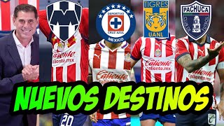 LAS CHIVAS Y FERNANDO HIERRO CORREN A 4 JUGADORES DEL EQUIPO Y ESTOS SON SUS NUEVOS DESTINOS 2024 [upl. by Miyasawa17]