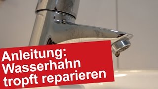 Wasserhahn tropft Reparieren  Entkalken von Düse bzw Perlator  VideoAnleitung mit Hausmitteln [upl. by Haon]