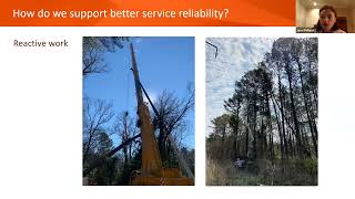 Utility Arboriculture Explained [upl. by Sabian]