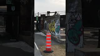 As I walk through the canal de Lachine I came across Viarail a train for passengers [upl. by Brause]