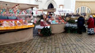 holidays in Europe Teplice Czech RepublicТеплицепраздничные торги [upl. by Carina]