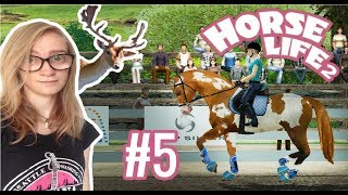 🔴UM LINDO CERVO amp A TRISTE PROVA REGIONAL5  horse life 2 [upl. by Tamah]