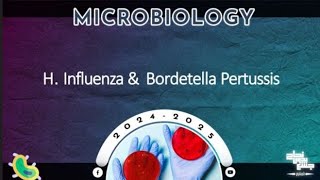 L2 Bordetella pertussis H influenza Vincet angina Microbiology [upl. by Thora180]