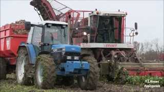 2013 Suikerbieten rooien met VERVAET LoonbTamminga Harkstede [upl. by Downall]