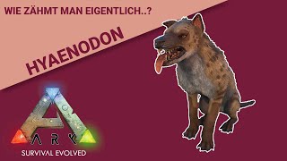 Hyaenodon zähmen Schnell und einfach für hohe Taming Effectiveness [upl. by Nilyam]