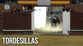 Tordesillas 2024 Campeonato de Cortes con Toros Bravos [upl. by Kaleena999]