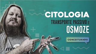 Citologia Permeabilidade Celular Transporte Passivo e Osmose Conceituando [upl. by Yelda]