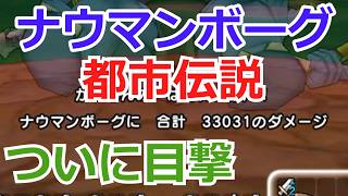 ナウマンボーグの都市伝説【ドラクエウォーク】 [upl. by Lebasile]