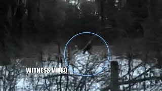 This Bigfoot Sighting Was a Family Affair  The Best Bigfootage [upl. by Jude327]