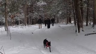 2 Hiking in the Snow [upl. by Froma]