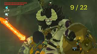 All Lynel locations no damage  Zelda BOTW [upl. by Nalro]