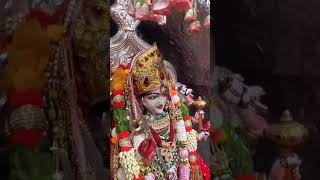 navratri shortsvideo mychannel subscribe [upl. by Hsatan97]