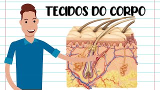 TECIDOS DO CORPO HUMANO  RESUMO [upl. by Nikki]