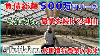 水耕農業、間もなく負債500万円超！でも続ける理由。 [upl. by Curnin393]