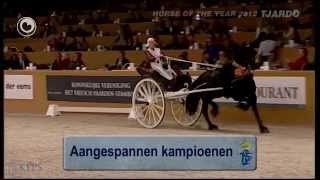 Friesian Stallion Spectacular Horse of the Year 2012 [upl. by Neel]