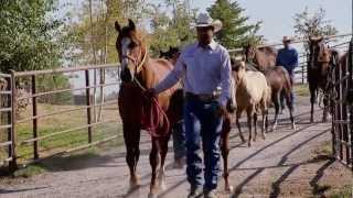 Montana Horse Ranch  Americas Heartland [upl. by Aryek]