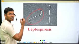 Leptospira species in Hindi II By Sanjay Sir [upl. by Cohdwell620]