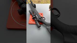 Ruger American Rifle VS Steel gun gunasmr shooting firearms 308 shorts [upl. by Naejamron]