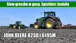 John Deere 8230 i 6195M  siew groszku w gosp Spichlerz Jaskóły [upl. by Anelat]