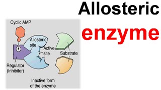 Allosteric enzyme [upl. by Llennehc201]