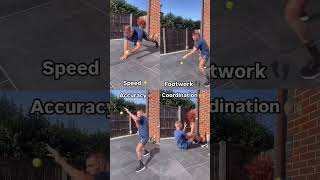 4 Must Do Boxing Tennis Ball Drills Plank Catches Movement Bounces Punch Catches Sit Up CatchesS [upl. by Otrepur]