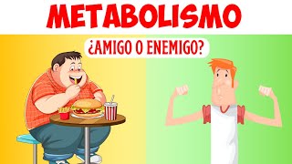 ✅Que Es El METABOLISMO y cómo FUNCIONA❓ ANABOLISMO🔴 Y CATABOLISMO🔵 [upl. by Yevad]