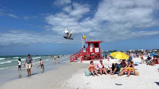 The BEST Beach in the US  Walking Siesta Beach in March 2023 [upl. by Airetnuhs]