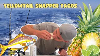 Yellowtail Snapper Tacos [upl. by Repip]