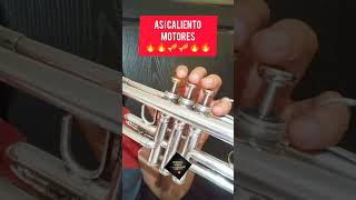 ✅ Calentamiento Trompeta ✅🎺 trompeta tecnicadetrompeta tutorial trompetista trompete shorts [upl. by Annadiana]