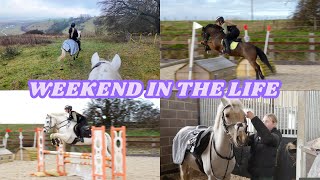 WEEKEND IN THE LIFE WITH ALL THE PONIES  NEW HOUSE SHOPPING HAUL [upl. by Kennie]