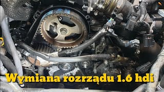 Wymiana rozrządu 16 Hdi Citroen Peugeot Ford Mazda i Volvo [upl. by Airretal]