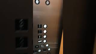 Unknown elevators at Friedwald Rehabilitation Center New City New York [upl. by Aved]