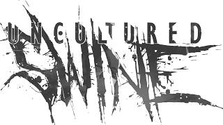 Uncultured Swine Fading Out Silence Live Music Video unculturedswine deathcore [upl. by Sana]