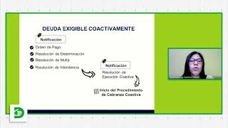 El Procedimiento de Cobranza Coactiva seguido por la SUNAT [upl. by Yeorgi]