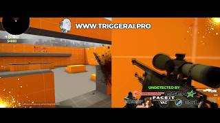 Undetectable CS GO AWP Triggerbot 2018 🏆 wwwTRIGGERAIpro 🏆 [upl. by Merrili]