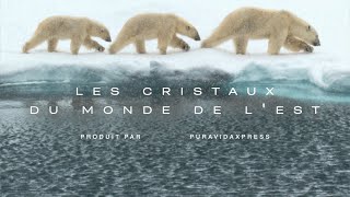 Film documentaire sur lArctique  Les cristaux de lest [upl. by Udela]