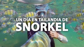 Snorkel en las playas del sur de Tailandia [upl. by Chucho]