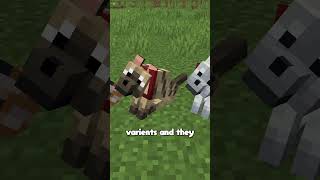 MINECRAFT ADDED NEW WOLVES shorts [upl. by Nyla482]